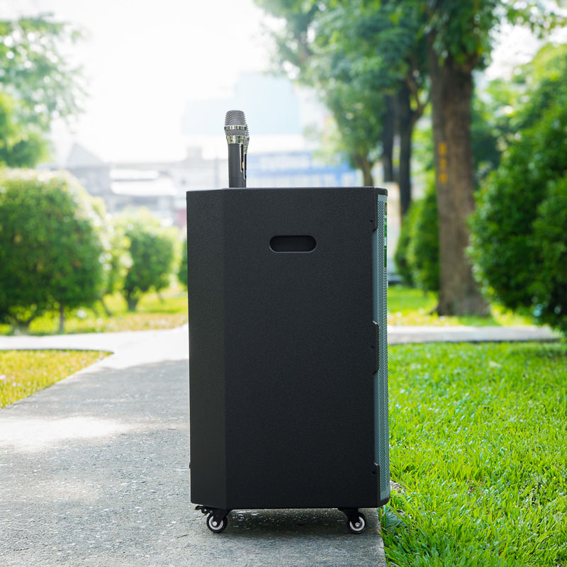 Loa kéo Nanomax K-180 10b