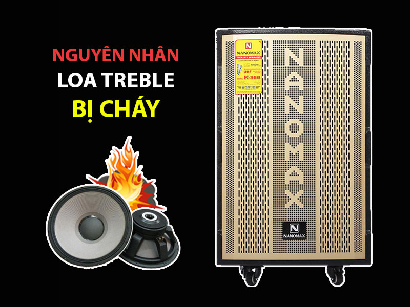 Loa Treble bị cháy