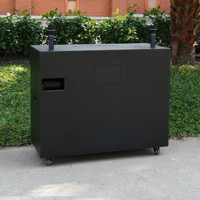 Loa kéo Nanomax Pro-805R 10