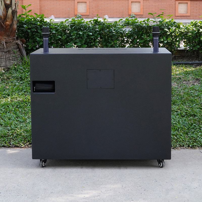 Loa kéo Nanomax Pro-805R 8