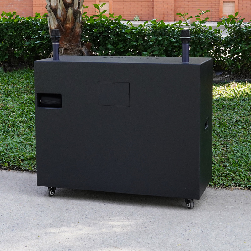 Loa kéo Nanomax Pro-805R 9