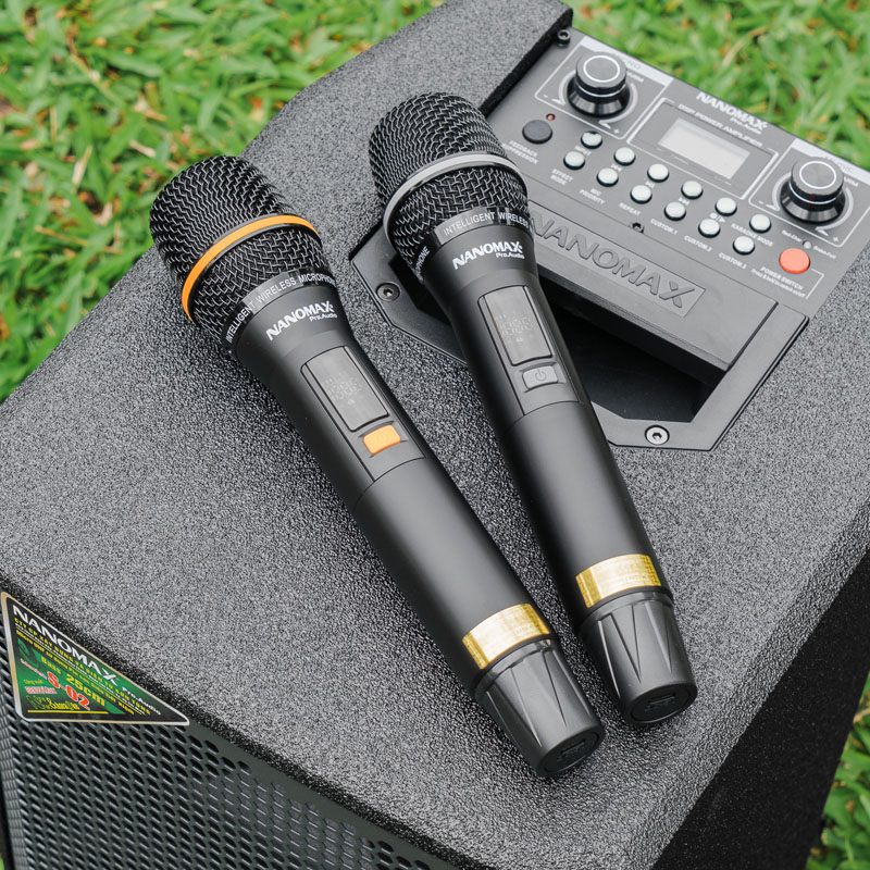 Loa karaoke xách tay Nanomax S-02 15