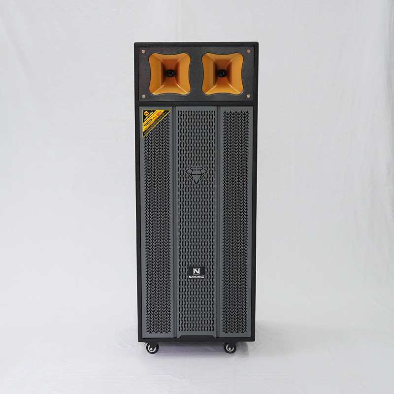 Loa kéo Nanomax Pro-803c 1