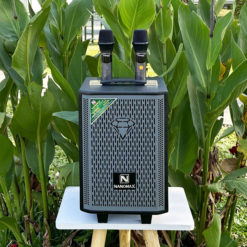 Loa karaoke mini nanomax s-100 7