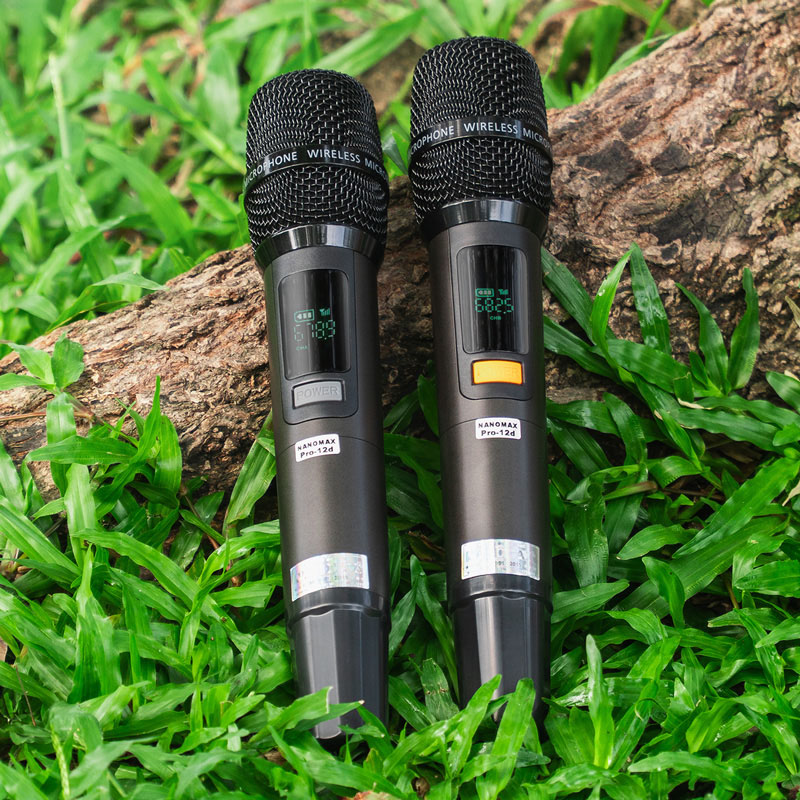 Loa kéo nanomax pro-12d 13
