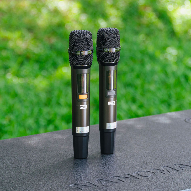 Loa kéo Nanomax Pro-215C 9