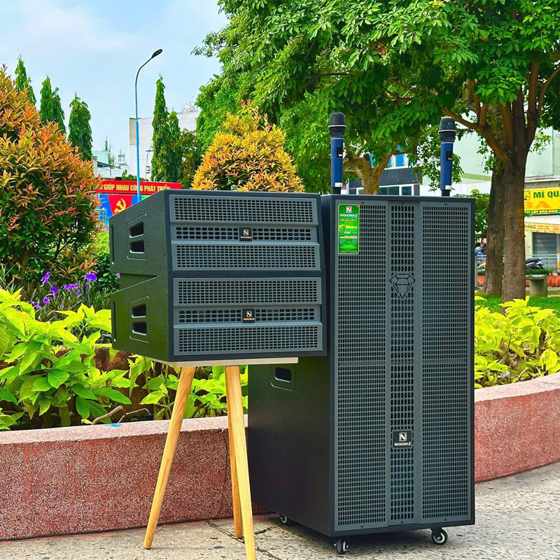 Loa kéo Nanomax Pro-218D 10