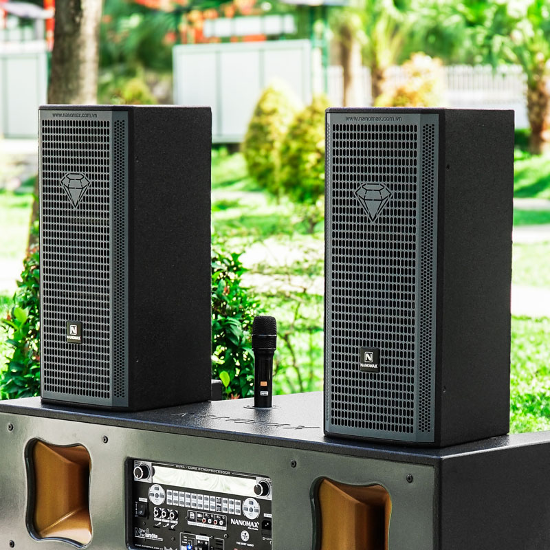 Loa kéo Nanomax Pro-500A 8