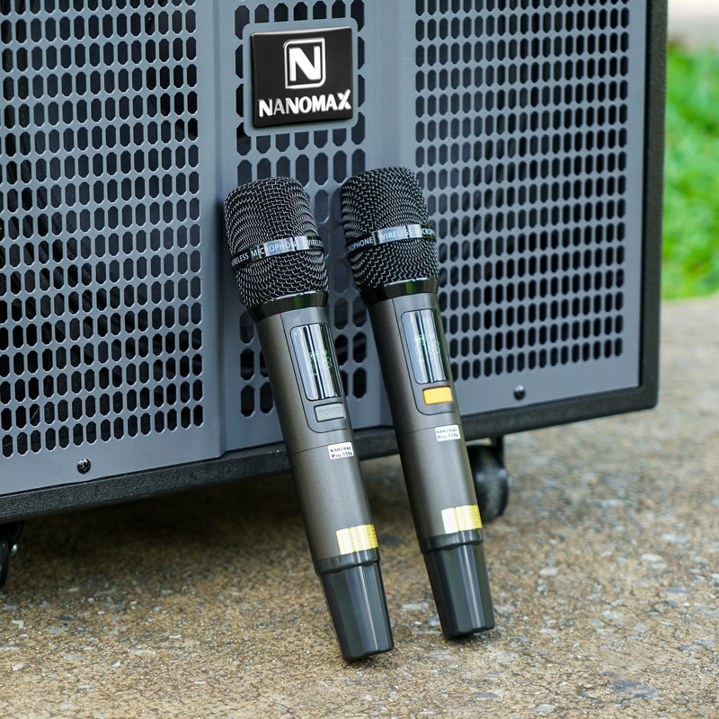 Loa kéo Nanomax Pro-555b 12