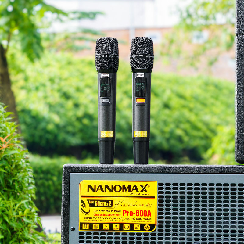 Loa kéo Nanomax Pro-600a 12