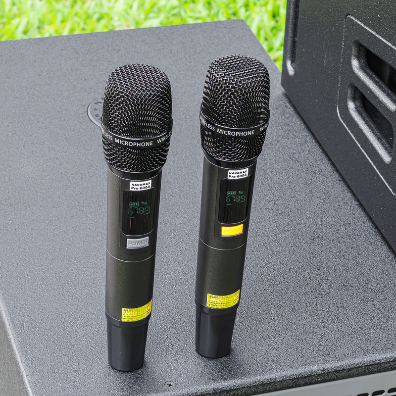 Loa kéo Nanomax Pro-600a 13