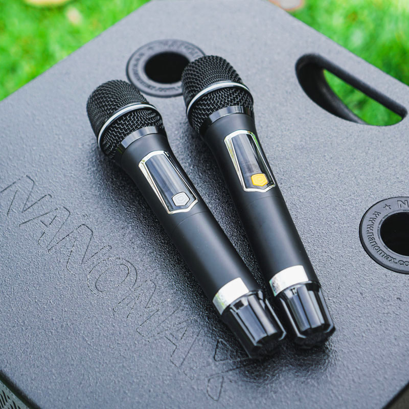 Loa kéo Nanomax SK-1202 12