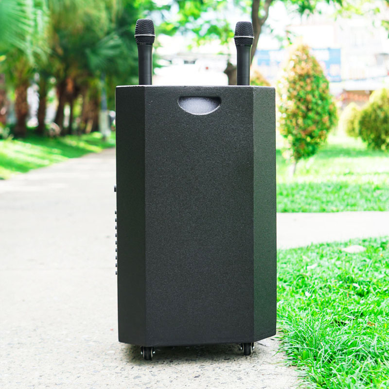 Loa kéo Nanomax SK-1202 9