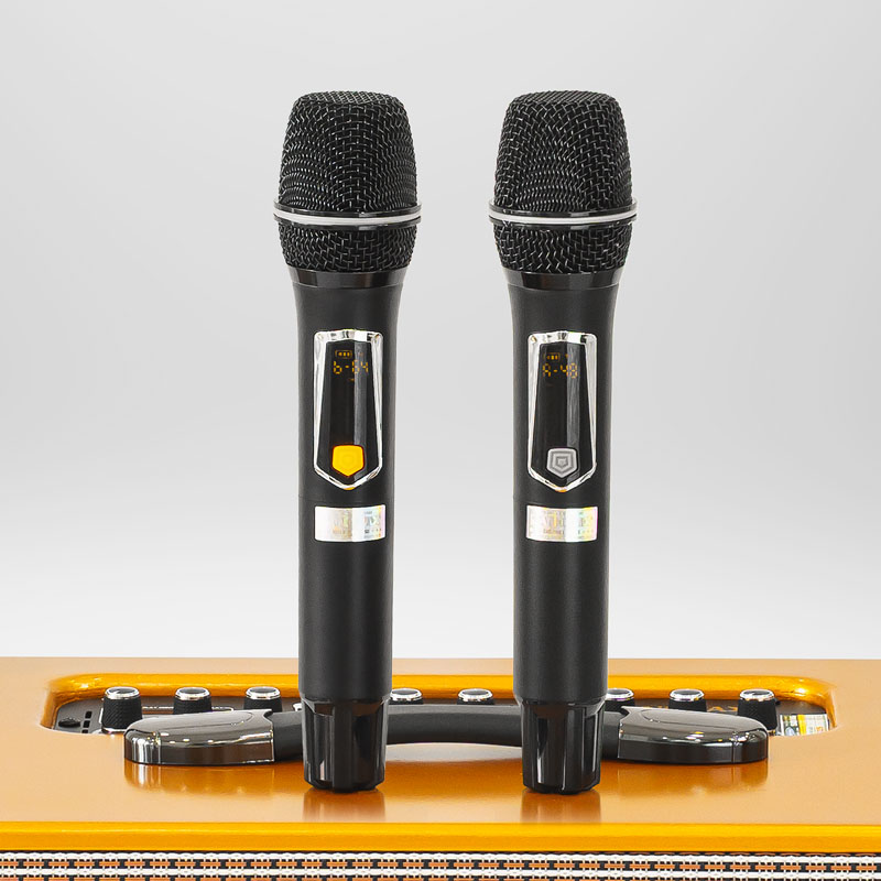 Loa karaoke xách tay Nanomax X-16 9