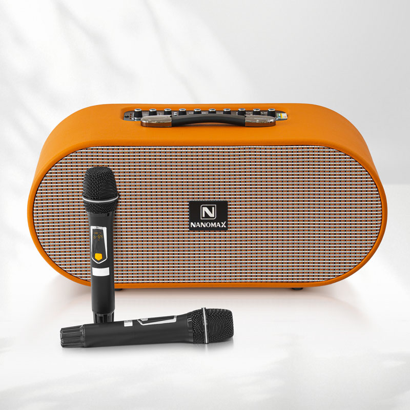 Loa karaoke xách tay Nanomax X-18 4