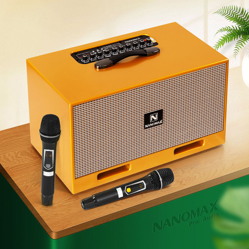 Loa karaoke xách tay Nanomax X-20 4