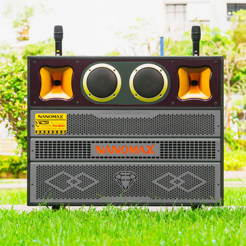 Loa kéo Nanomax Pro-803N 2