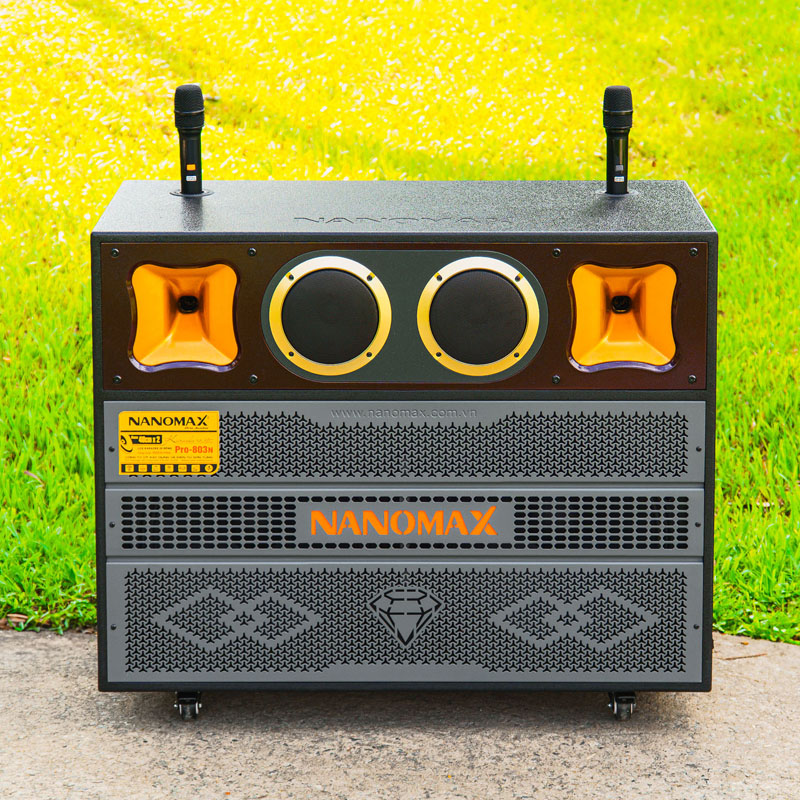Loa kéo Nanomax Pro-803N 3