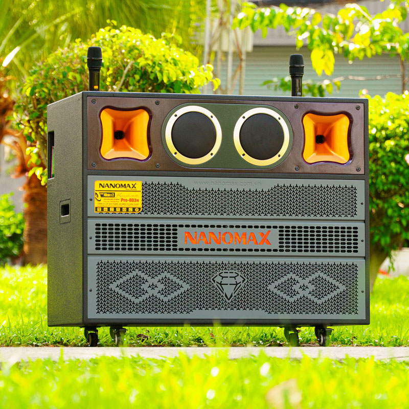 Loa kéo Nanomax Pro-803N 4