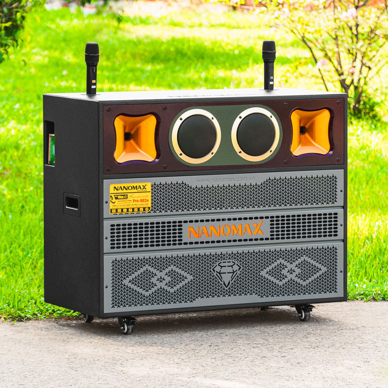 Loa kéo Nanomax Pro-803N 5