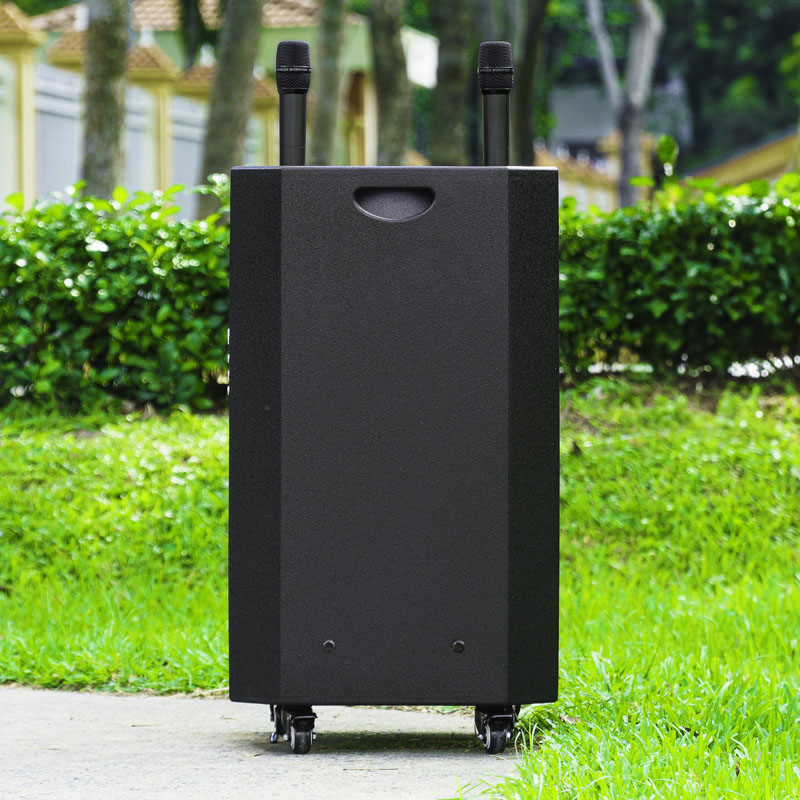 Loa kéo Nanomax SK-15Q6 7