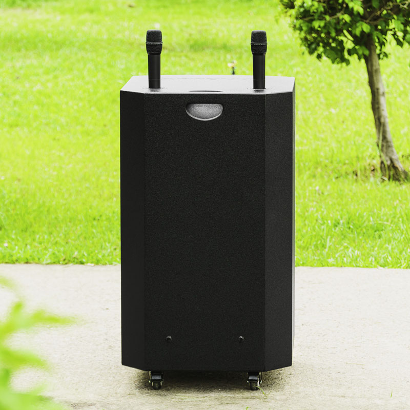 Loa kéo Nanomax SK-18Q6 8