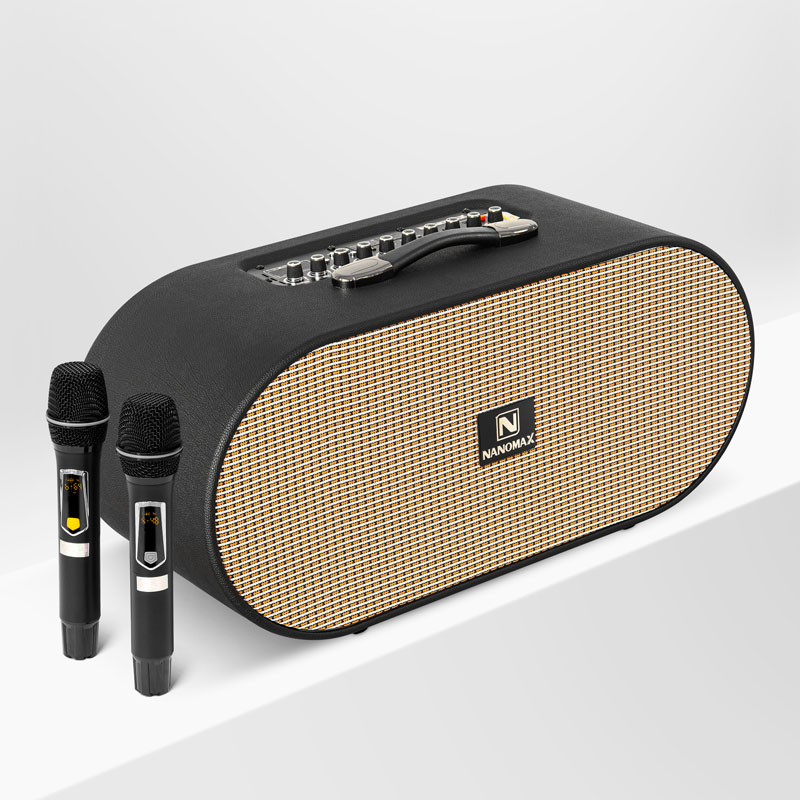 Loa kéo Nanomax X-22 4