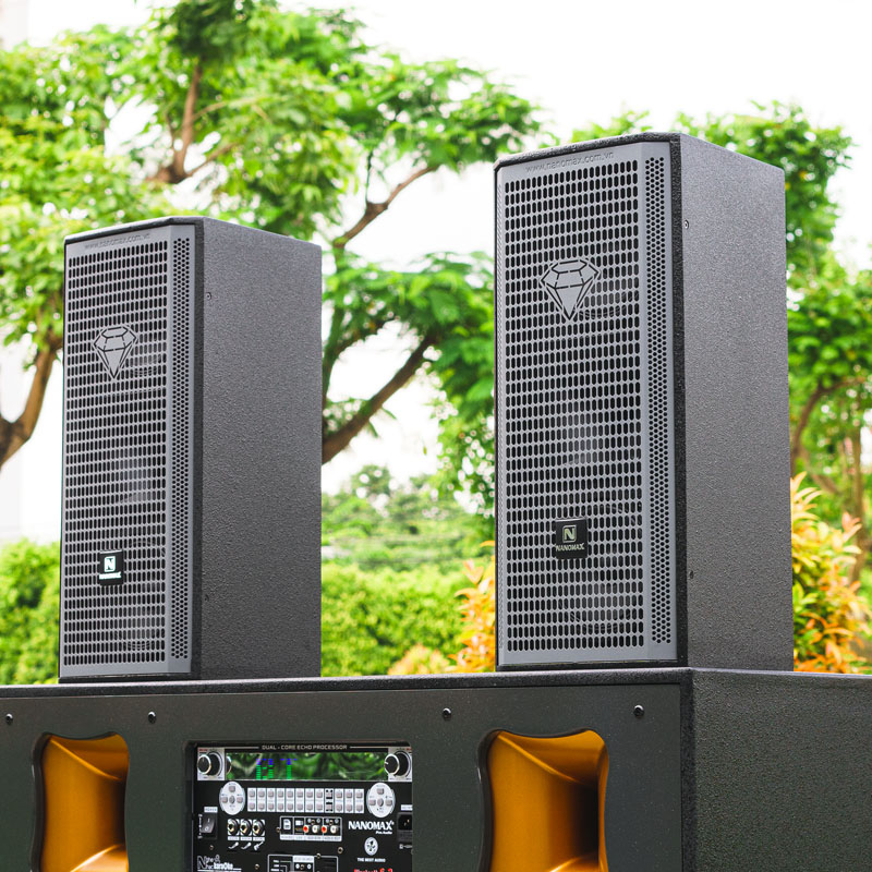 Loa kéo Nanomax Pro-666A 12