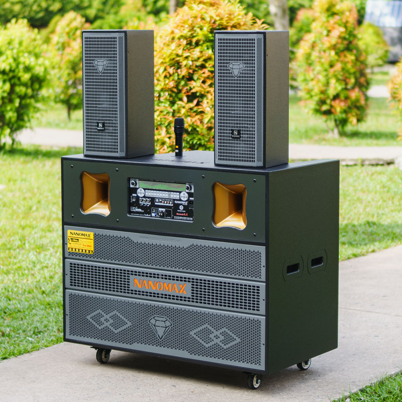 Loa kéo Nanomax Pro-666A 15