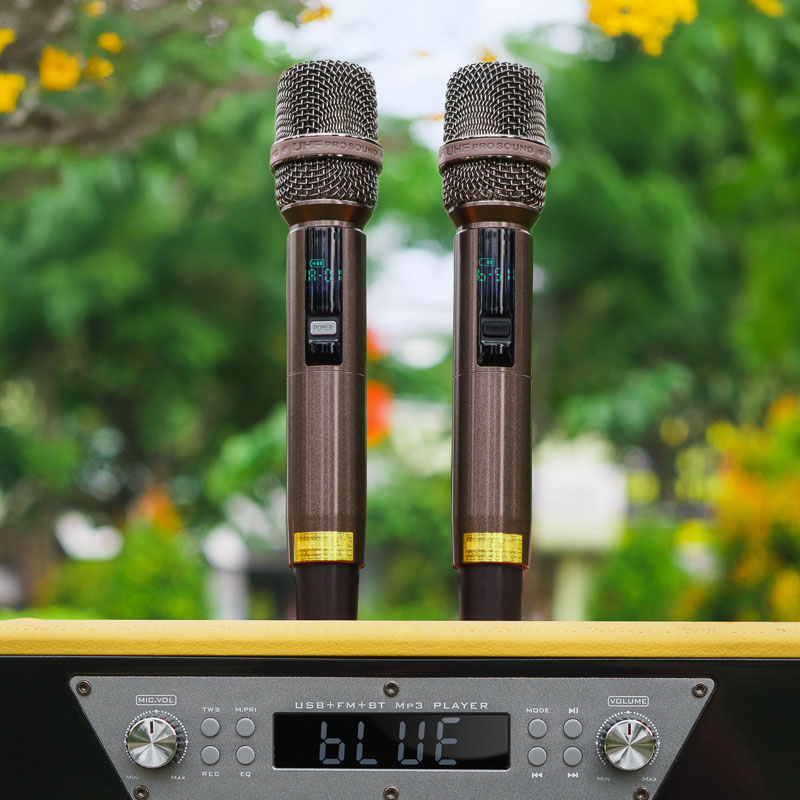 Loa karaoke xách tay Nanomax PS-20A 10