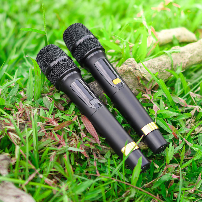 Loa kéo Nanomax Pro-21A1 10