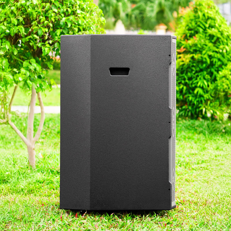 Loa kéo Nanomax Pro-21A1 6