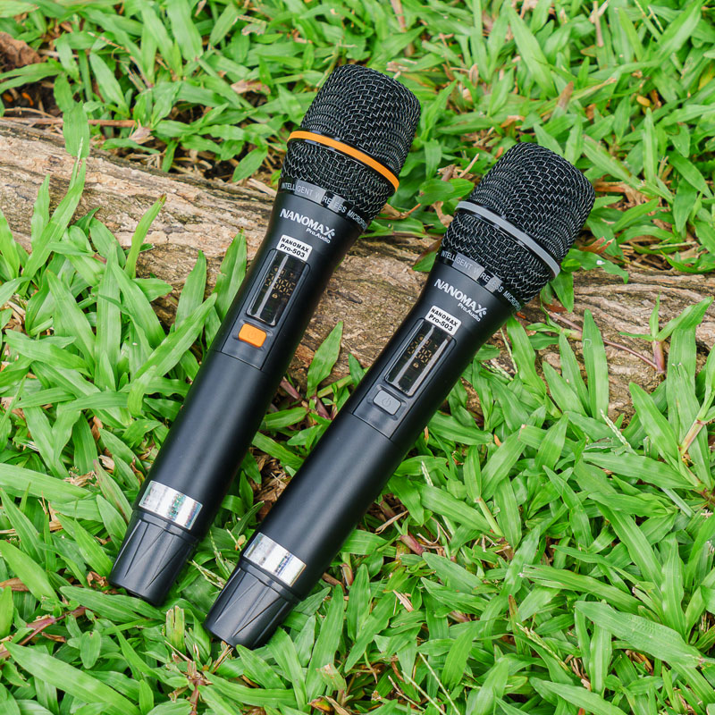 Loa kéo Nanomax Pro-503 14