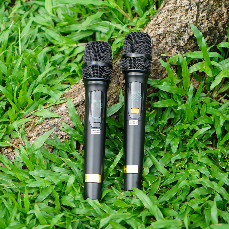 Loa kéo Nanomax Pro-803A 12