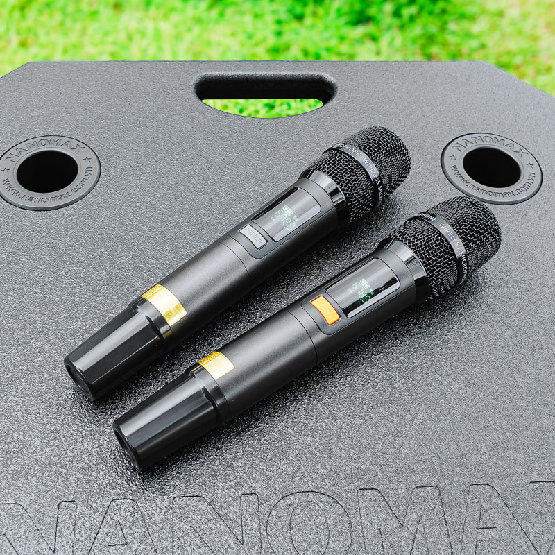 Loa kéo Nanomax SK-18Q5 11