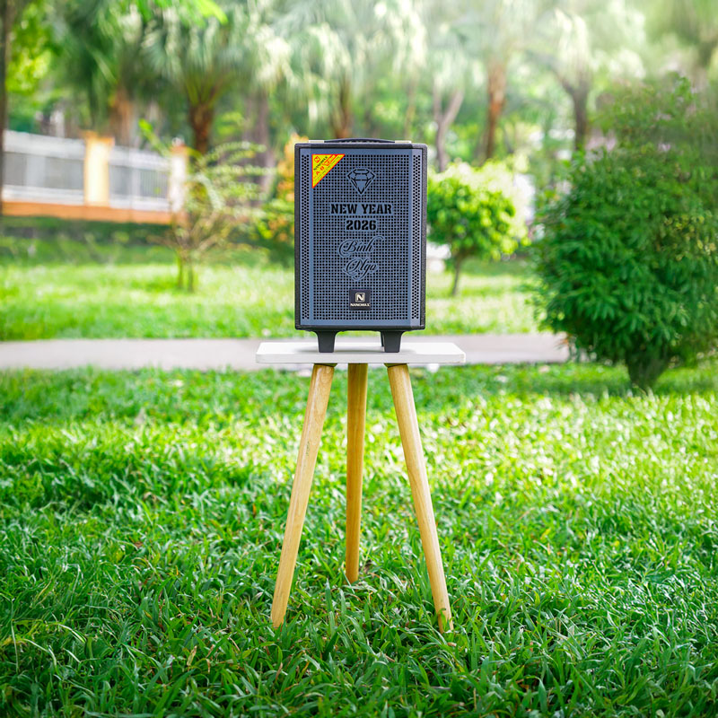 Loa karaoke Nanomax A-8 9