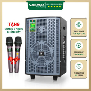 Loa karaoke Nanomax B-12 1