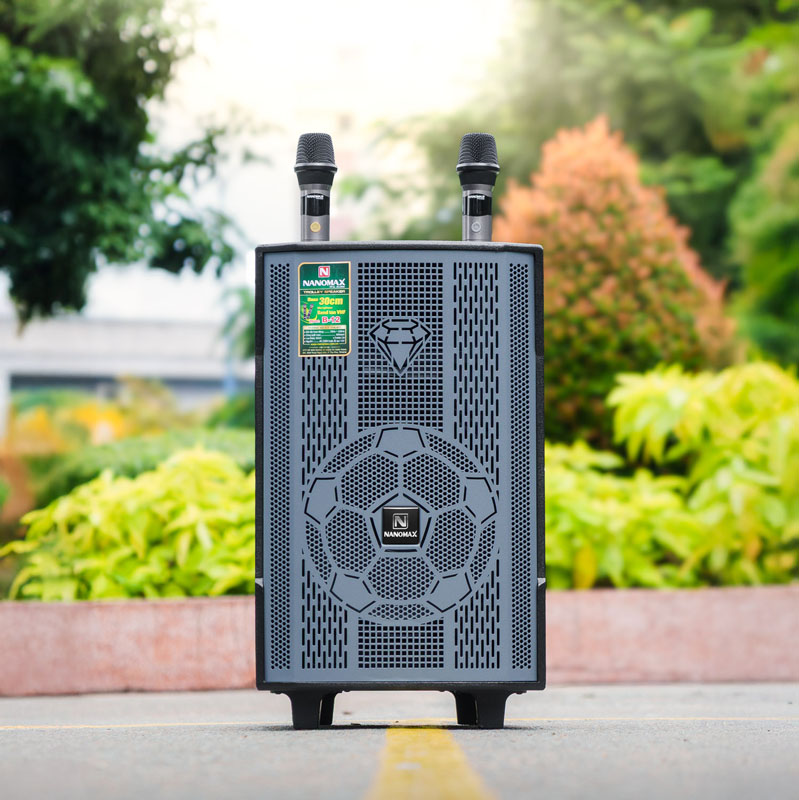 Loa karaoke Nanomax B-12 2
