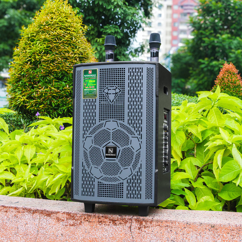 Loa karaoke Nanomax B-12 5