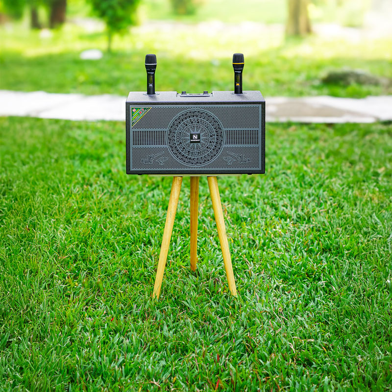 Loa karaoke Nanomax X-7 10