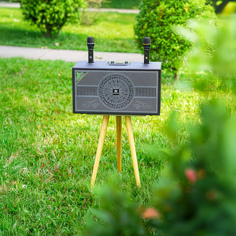 Loa karaoke Nanomax X-7 12