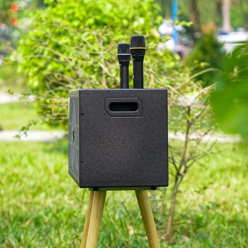 Loa karaoke Nanomax X-7 8