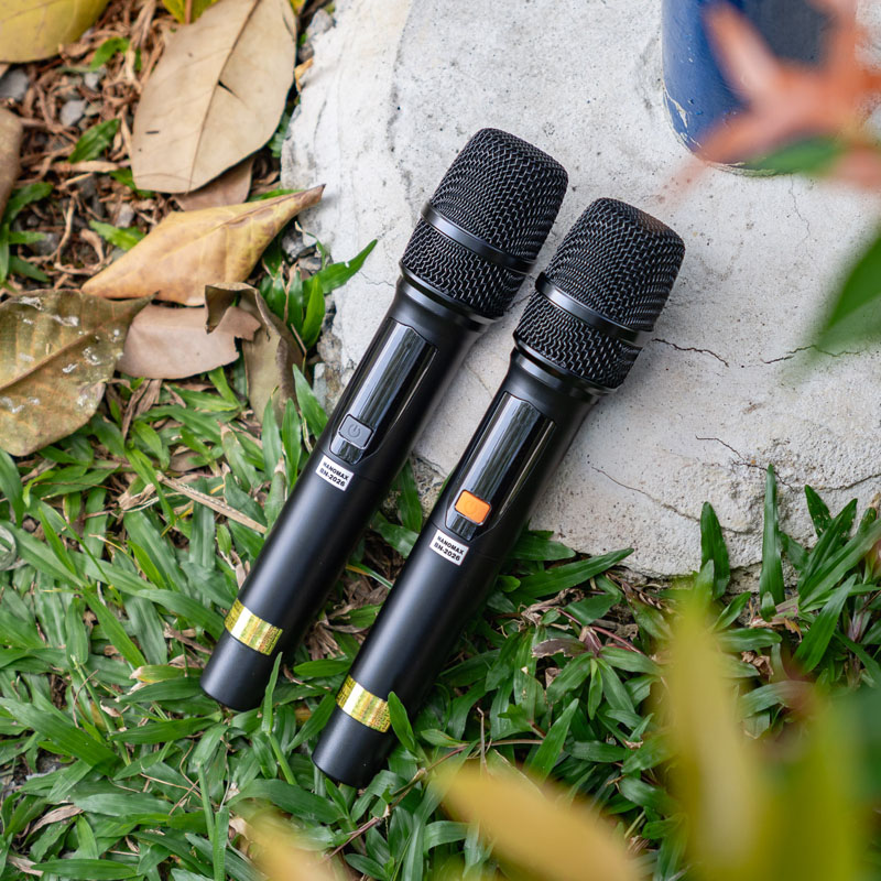 Loa kéo bình và điện nanomax BN-2026 10