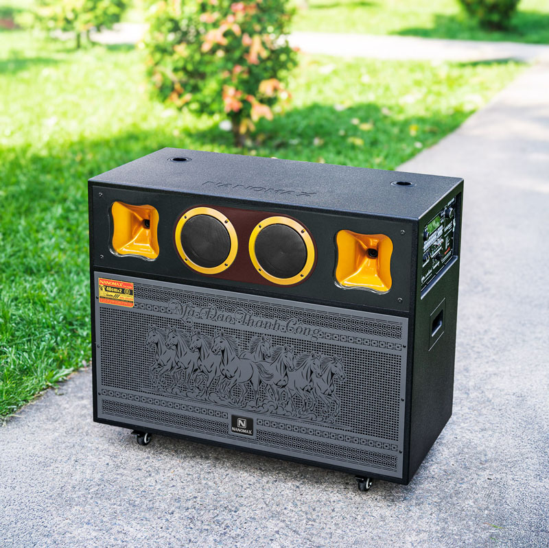 Loa kéo bình và điện nanomax BN-2026 5