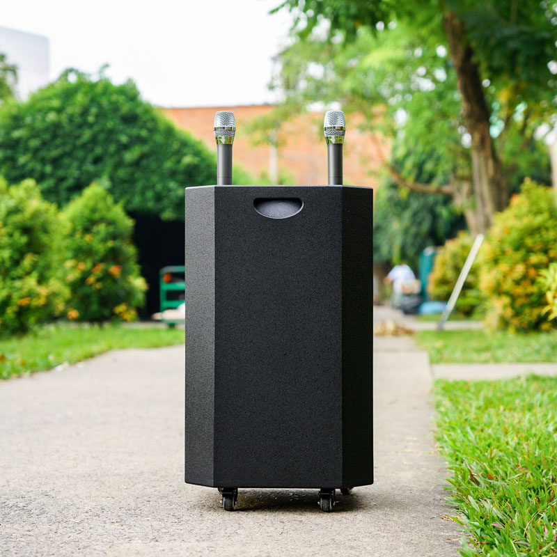 Loa kéo Nanomax SK-12F8 11