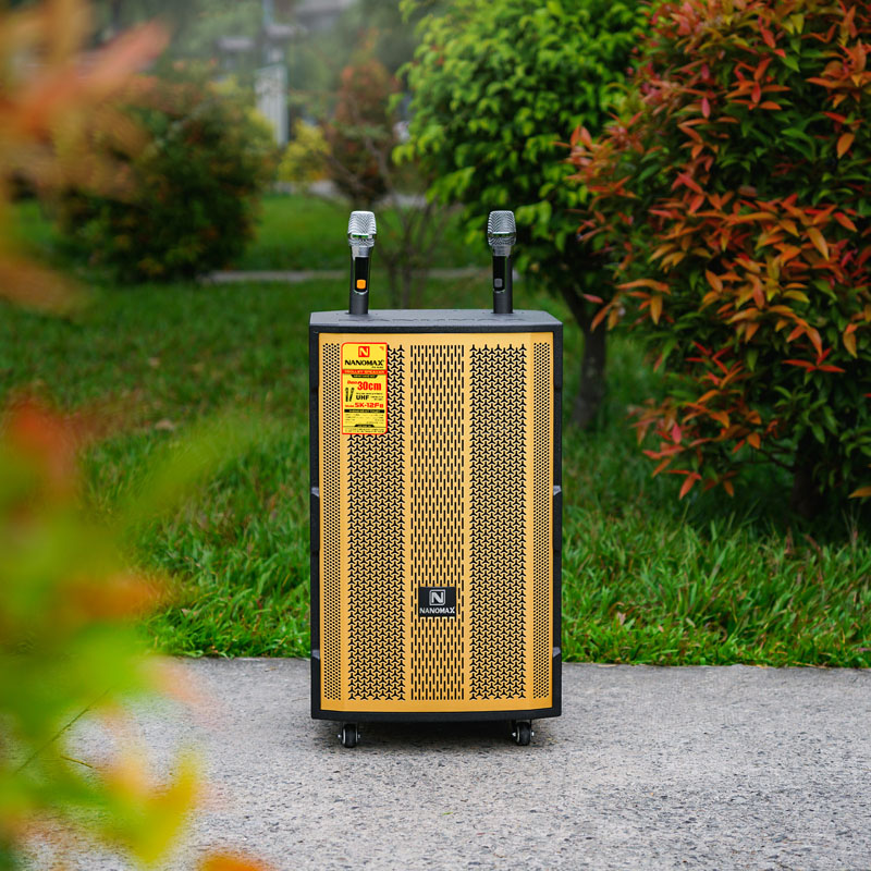 Loa kéo Nanomax SK-12F8 8