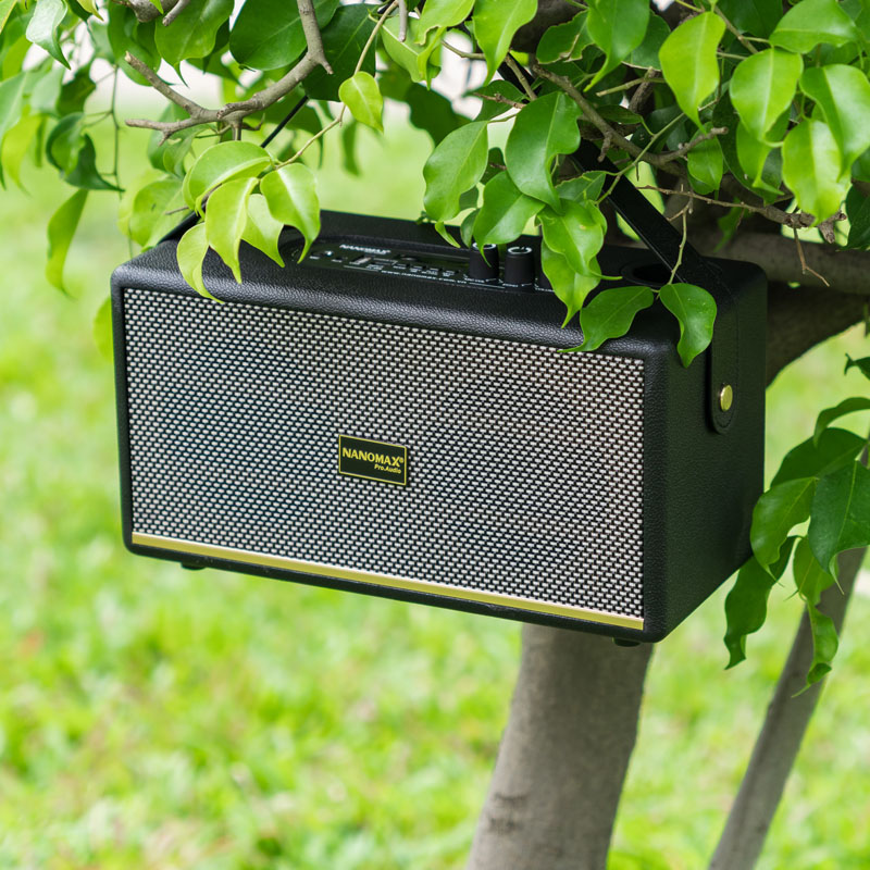 loa karaoke xách tay nanomax k-06 15