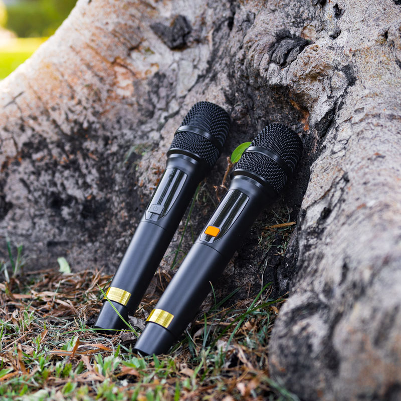 Loa kéo Nanomax SK-16Q2 13