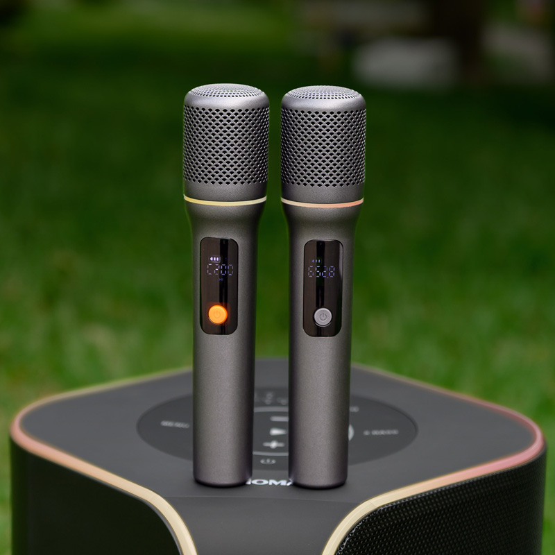 loa karaoke xách tay nanomax D-3 13