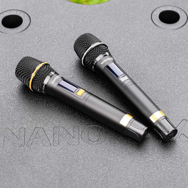 Loa kéo Nanomax SK-19Q6 13